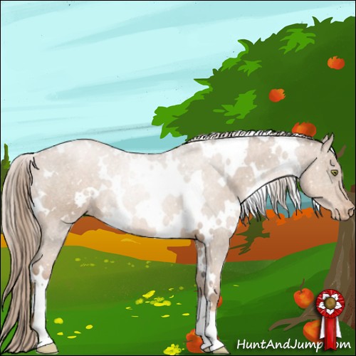 Horse Color:White Spotted Liver Chestnut Pearl Appaloosa 