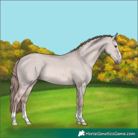 Horse Color:Platinum Red Dun 