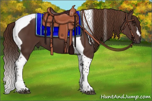 Horse Color:Liver Chestnut Tobiano 