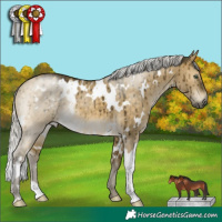 Horse Color:White Spotted Silver Buckskin Dun Mushroom Brindle