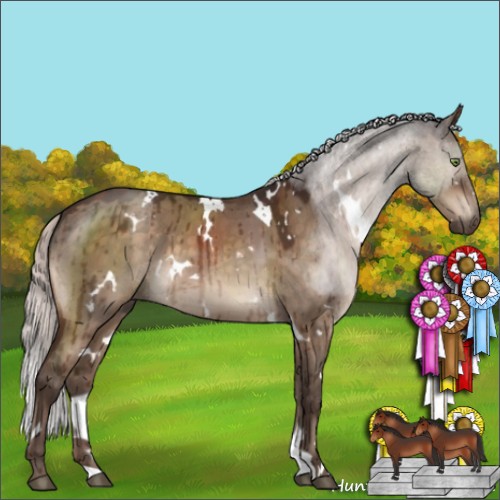 Horse Color:White Spotted Silver Brown Dun Mushroom Brindle 