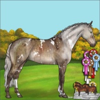 Horse Color:White Spotted Silver Brown Dun Mushroom Brindle 