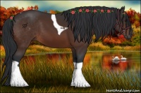 Horse Color:Bay Tobiano 