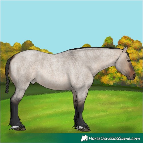 Horse Color:Brown Roan Dun 