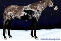 Horse Color:White Spotted Liver Red Roan Splash 