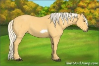 Horse Color:Palomino Frame