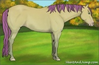 Horse Color:Platinum Painted Amber Cream Champagne Dun 