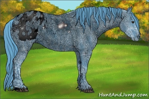 Horse Color:ERROR: UNKNOWN ANOMALY