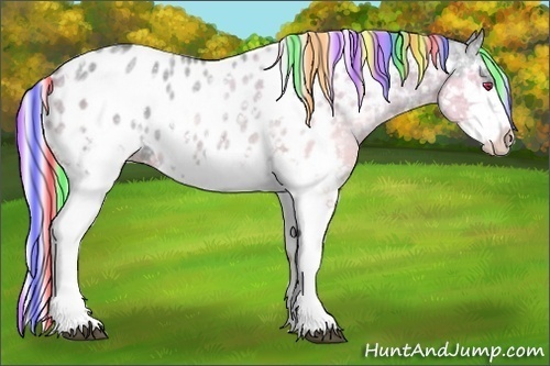 Horse Color:Painted White Spotted Silver Grullo Chinchilla Ice Splash Appaloosa 