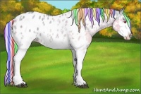 Horse Color:Painted White Spotted Silver Grullo Chinchilla Ice Splash Appaloosa 