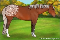 Horse Color:Silver Brown 