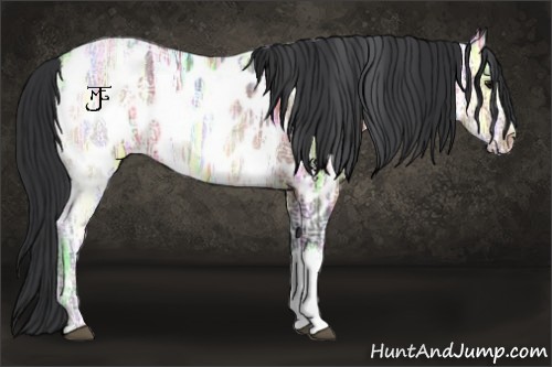 Horse Color:Brown Ice Roan Appaloosa 