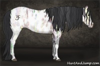 Horse Color:Brown Ice Roan Appaloosa