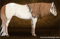 Horse Color:Brown Ice Roan Pearl Dun Snowflake Varnish 
