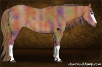 Horse Color:Nacre White Spotted Chestnut 