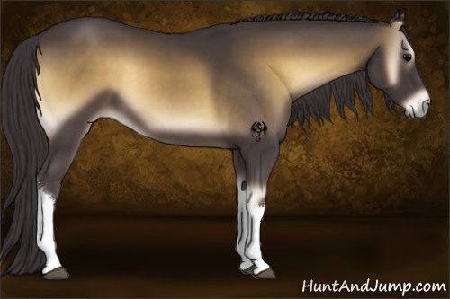 Horse Color:Smoky Blue Onyx 