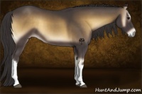 Horse Color:Smoky Blue Onyx