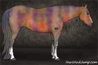 Horse Color:Nacre White Spotted Bay 