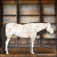 Horse Color:White Spotted Brown Ice Dun