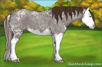 Horse Color:Liver Red Ice Roan Splash