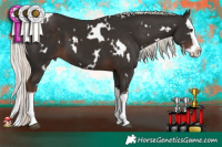 Horse Color:White Spotted Liver Chestnut Mushroom Sabino Splash 