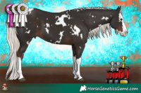 Horse Color:White Spotted Liver Chestnut Mushroom Sabino Splash