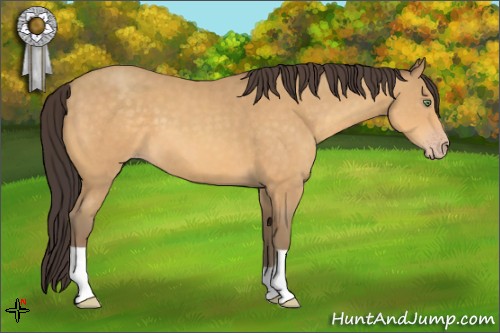 Horse Color:Sable Cream Champagne 