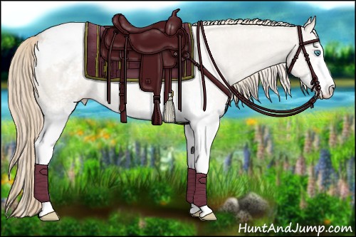 Horse Color:White Spotted Smoky Creme Sabino Snowcap