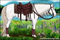 Horse Color:White Spotted Smoky Creme Sabino Snowcap 