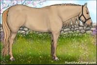 Horse Color:Red Dun 