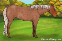 Horse Color:Silver Buckskin Roan 