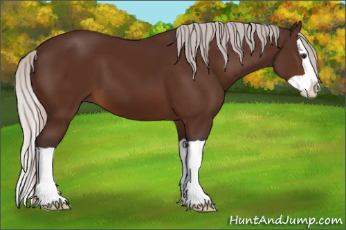 Horse Color:Silver Brown Splash 
