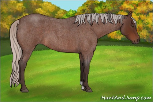 Horse Color:Silver Brown Roan Frame 