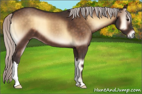 Horse Color:Silver Brown Onyx 