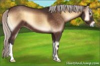 Horse Color:Silver Brown Onyx