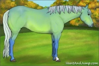 Horse Color:Watercolor Silver Brown