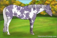 Horse Color:Watercolor White Spotted Silver Smoky Black