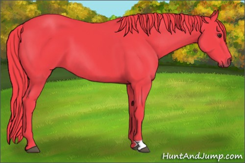Horse Color:Watercolor Liver Chestnut