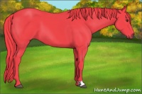 Horse Color:Watercolor Liver Chestnut 