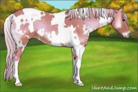Horse Color:Watercolor White Spotted Silver Buckskin Onyx 