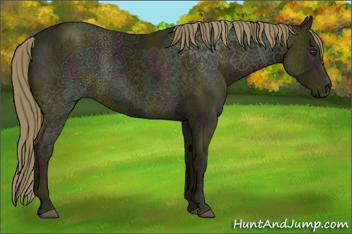 Horse Color:Watercolor Midnight Liver Chestnut