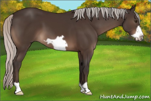 Horse Color:Silver Brown Frame