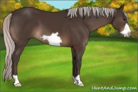 Horse Color:Silver Brown Frame 
