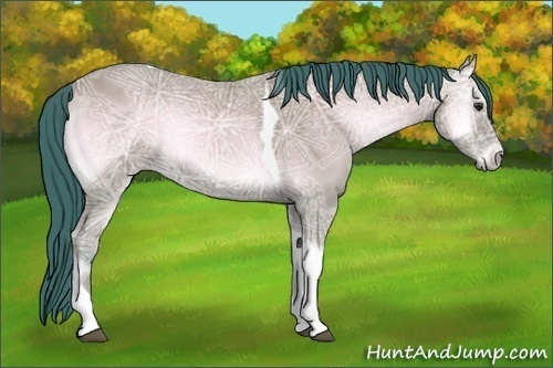 Horse Color:Watercolor Bay Ice Onyx Tobiano Rabicano 