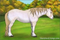 Horse Color:Watercolor Red Onyx Ice Roan