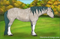 Horse Color:Watercolor Bay Ice 
