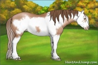 Horse Color:Brown Pearl Splash Frame 