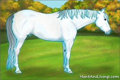 Horse Color:Gray Thunderstruck Amber Champagne Ice Onyx 