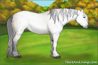 Horse Color:Gray Bay Dun 