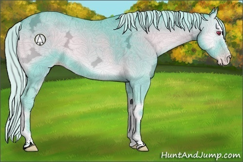 Horse Color:Watercolor Silver Classic Champagne Chinchilla Ice Onyx Sabino 